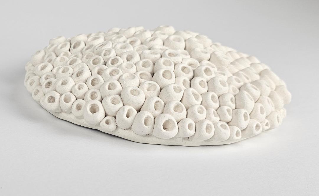 Ceramic Art Coral Wall Sculpture