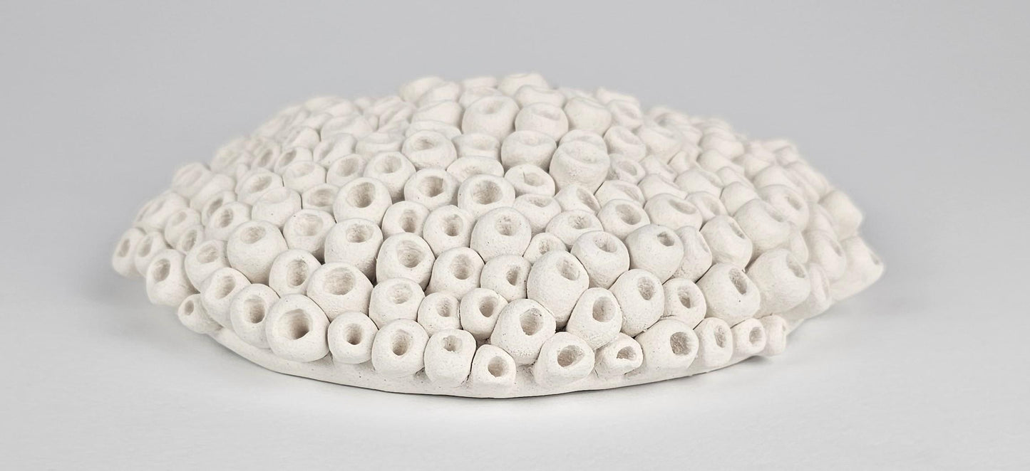 Ceramic Art Coral Wall Sculpture