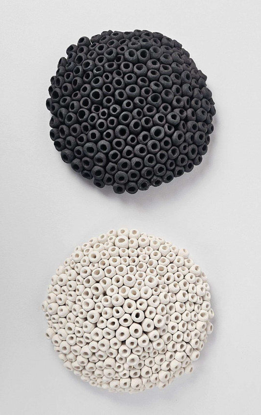 Ceramic Coral Wall Sculpture Duo